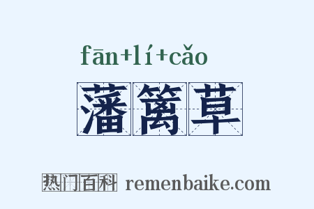 藩篱草是什么意思的图片